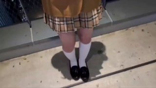 尤物蜜tv在线一区🈲青青草成人综合视频🈲老司机无码车牌号大全